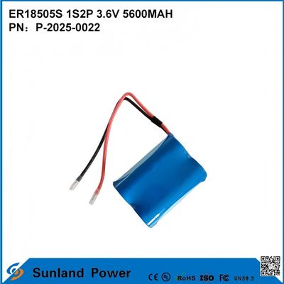 ER18505S 1S2P 3.6V 5600MAH Batteria ad alta capacità resistente alle alte temperature