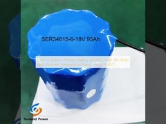 Batteria LiSOCl2 Batteria primaria ER34615 5S6P 18V 95Ah Con temperatura ambiente da -55°C a 85°C