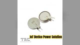 Batteria IoT MS920SE FL27E da 6,5 ​​mAh